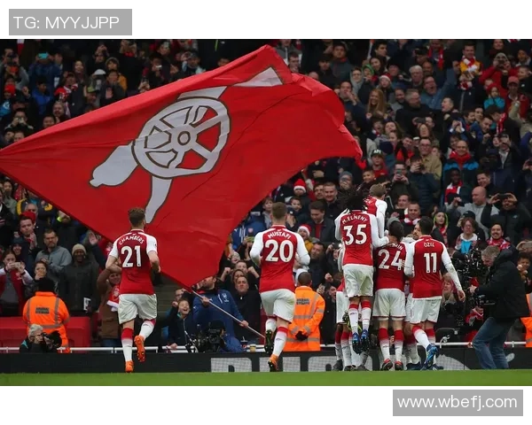 阿森纳主场迎战卡的夫城2019赛季精彩回顾与分析